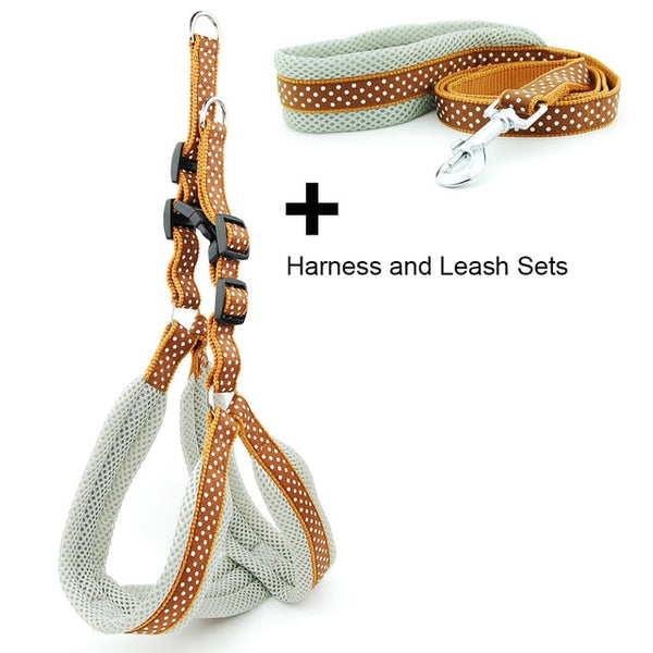 Polka Dot Dog Strap Harness and Leash Set
