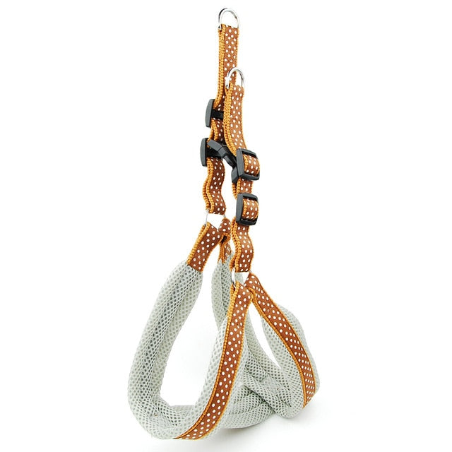 Polka Dot Dog Strap Harness and Leash Set