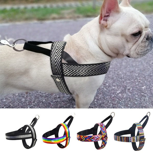 Strap Dog Harness