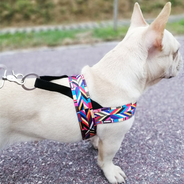 Strap Dog Harness