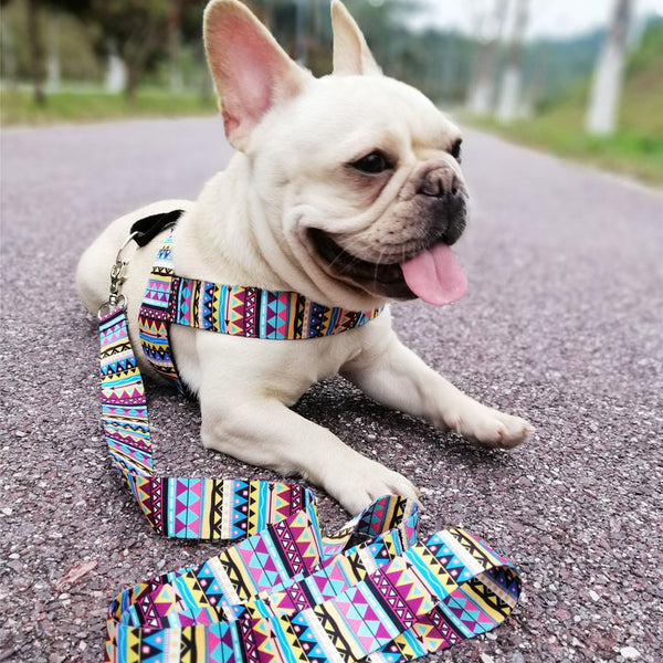 Strap Dog Harness