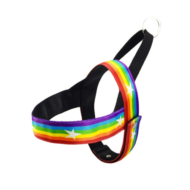 Strap Dog Harness