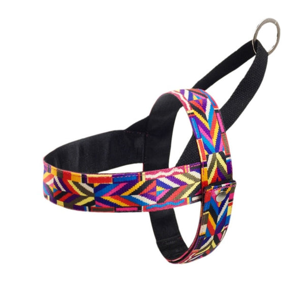 Strap Dog Harness