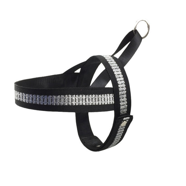 Strap Dog Harness