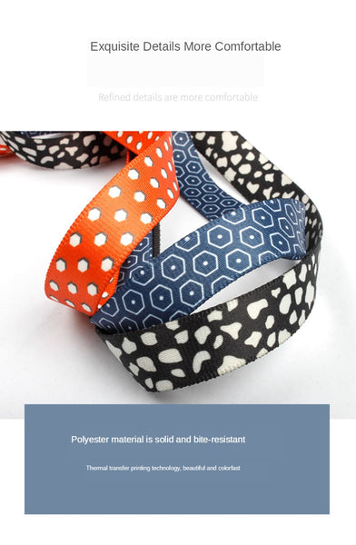 Dog Harness and Leash Set