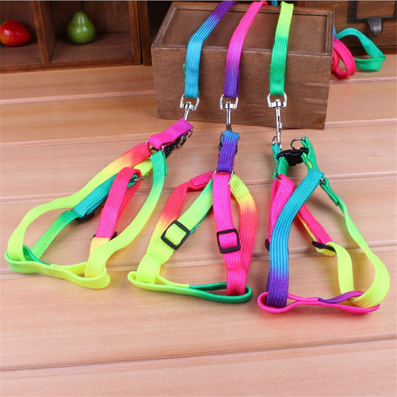Colorful Rainbow Dog Strap Harness and Leash Set