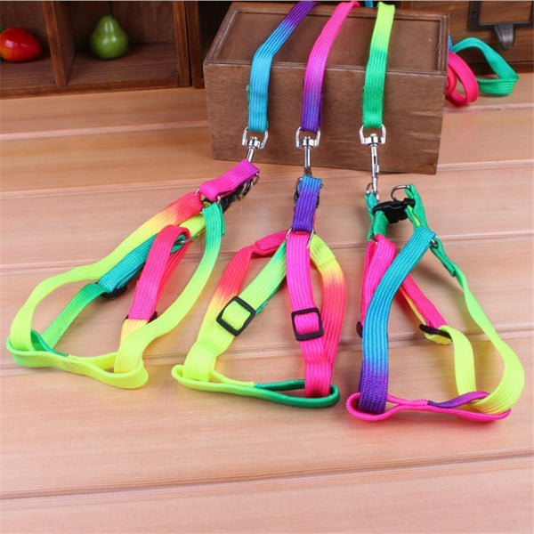 Colorful Rainbow Dog Strap Harness and Leash Set