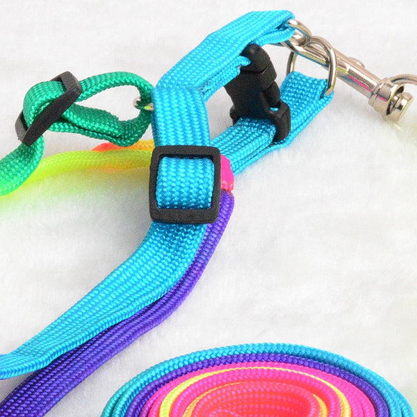 Colorful Rainbow Dog Strap Harness and Leash Set