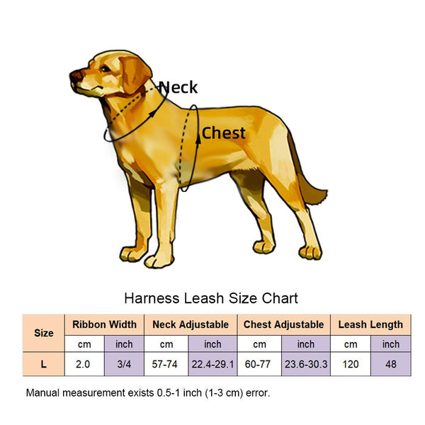 Polka Dot Dog Strap Harness and Leash Set