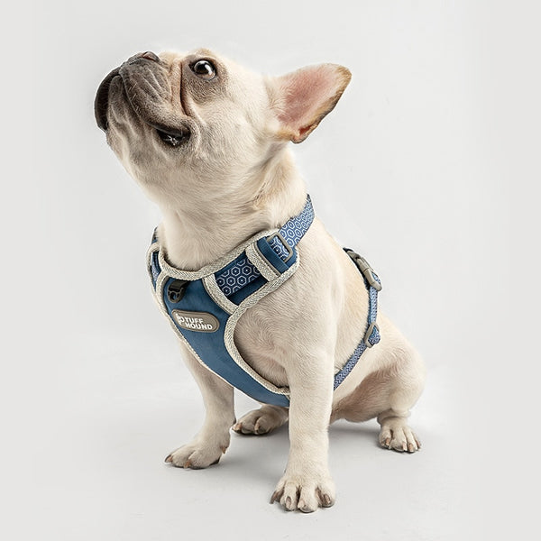 Dog Harness and Leash Set