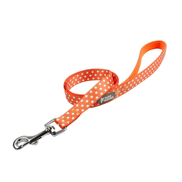 Dog Harness and Leash Set