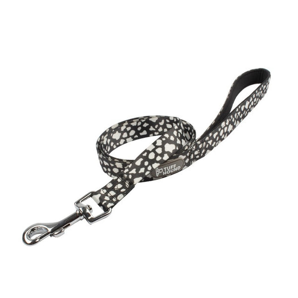 Dog Harness and Leash Set
