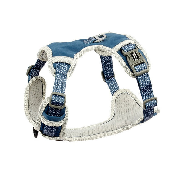 Dog Harness and Leash Set