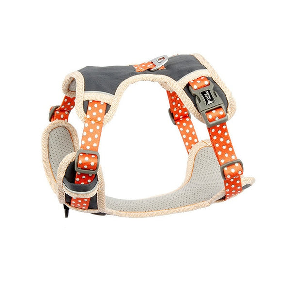 Dog Harness and Leash Set