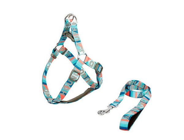 Reflective Strap Dog Harness and Leash Set