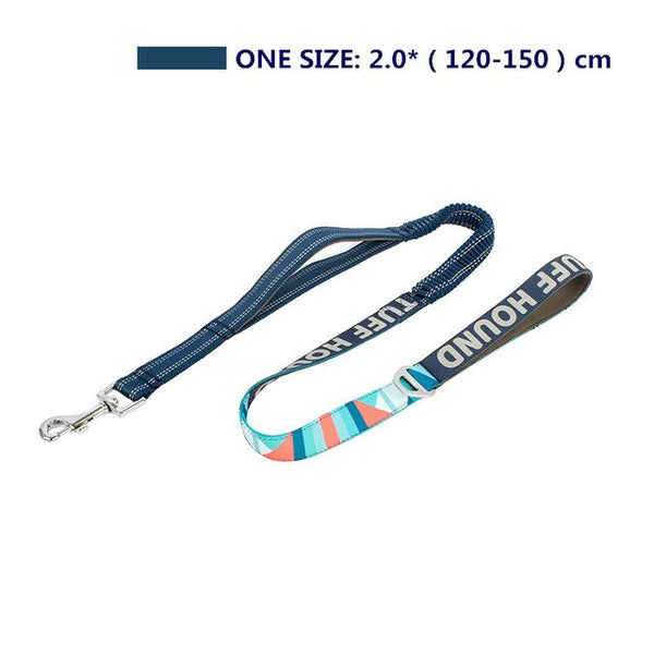 Reflective Strap Dog Harness and Leash Set