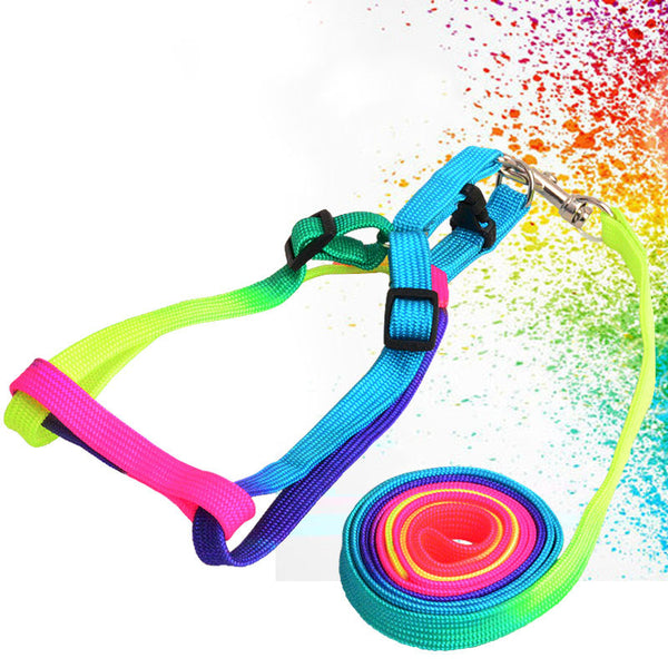 Colorful Rainbow Dog Strap Harness and Leash Set