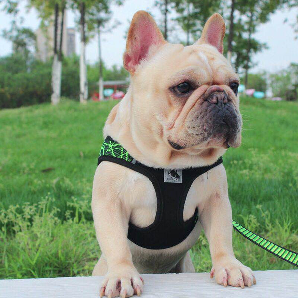 Reflective Dog Harness