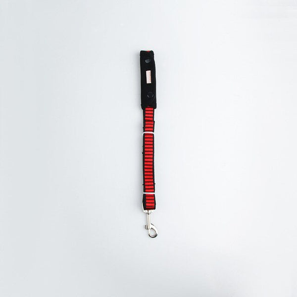 Reflective Dog Harness