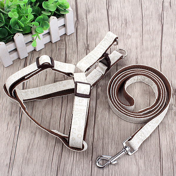 Strap Dog Harness and Leash Set
