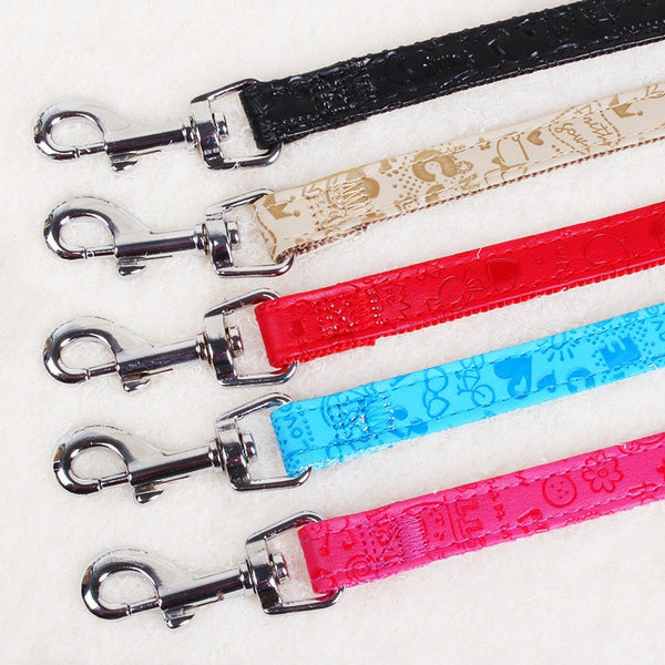 Strap Dog Harness and Leash Set