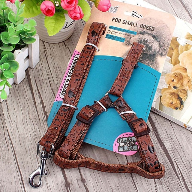 Strap Dog Harness and Leash Set