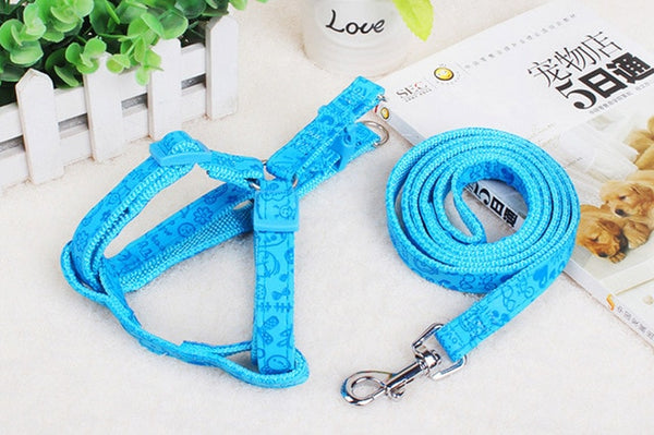 Strap Dog Harness and Leash Set