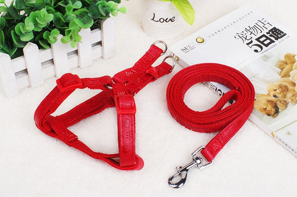 Strap Dog Harness and Leash Set
