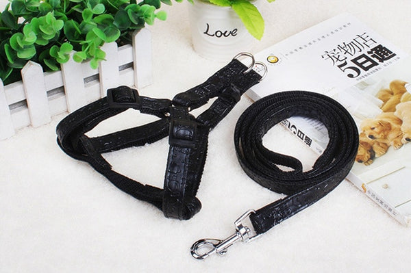Strap Dog Harness and Leash Set
