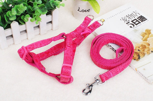 Strap Dog Harness and Leash Set