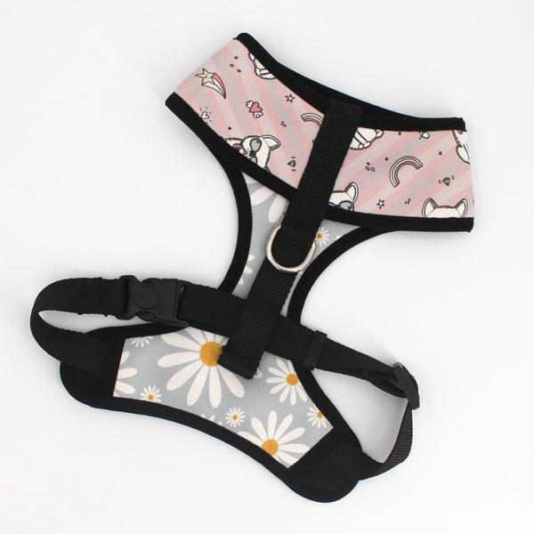Reversible Daisy Dog Harness